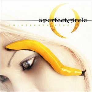 Perfect Circle/Thirteenth Step